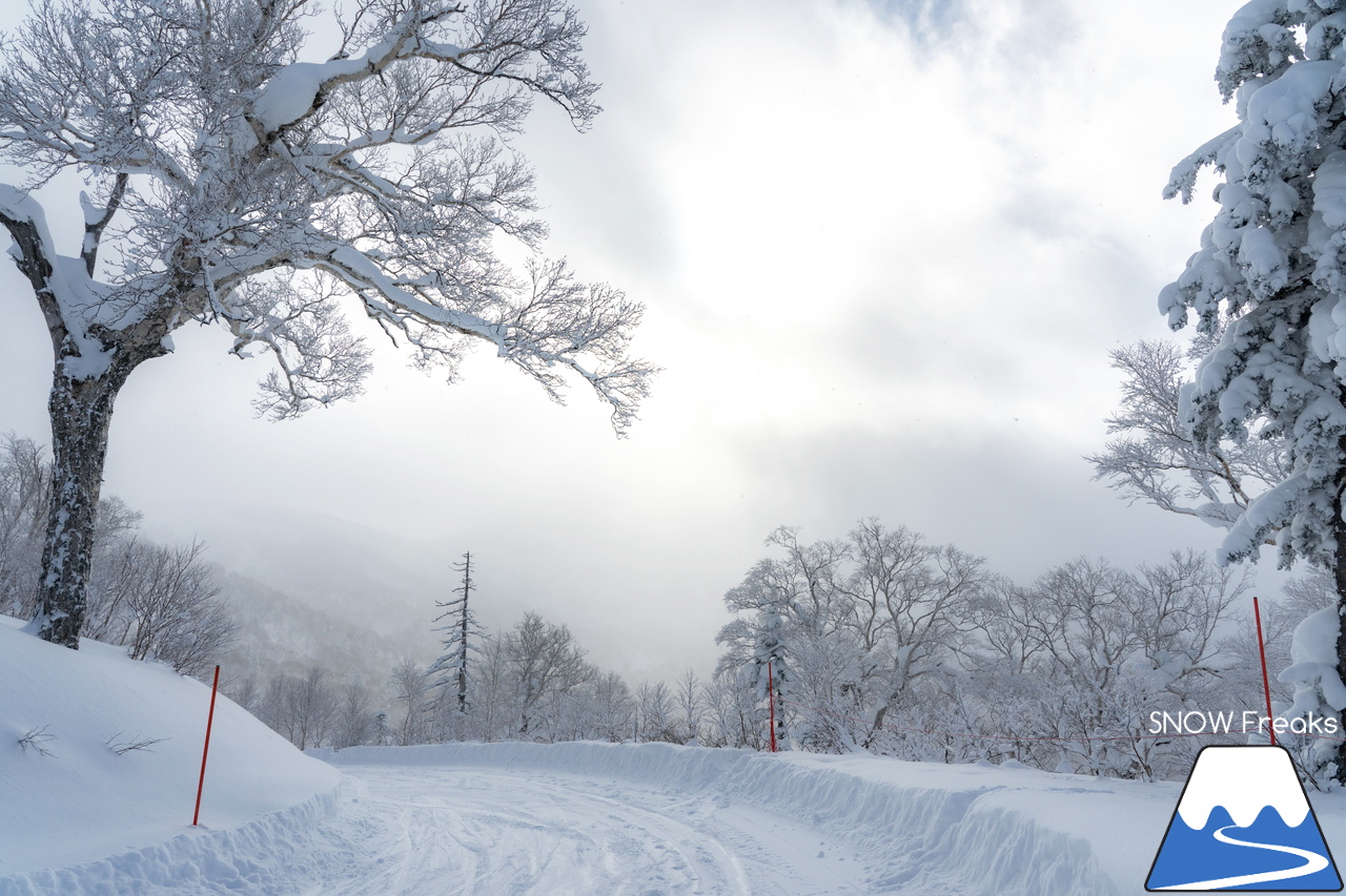 キロロリゾート｜寒さも、雪質も、最上級。キロロが誇る世界屈指のパウダースノーを楽しみましょう♪